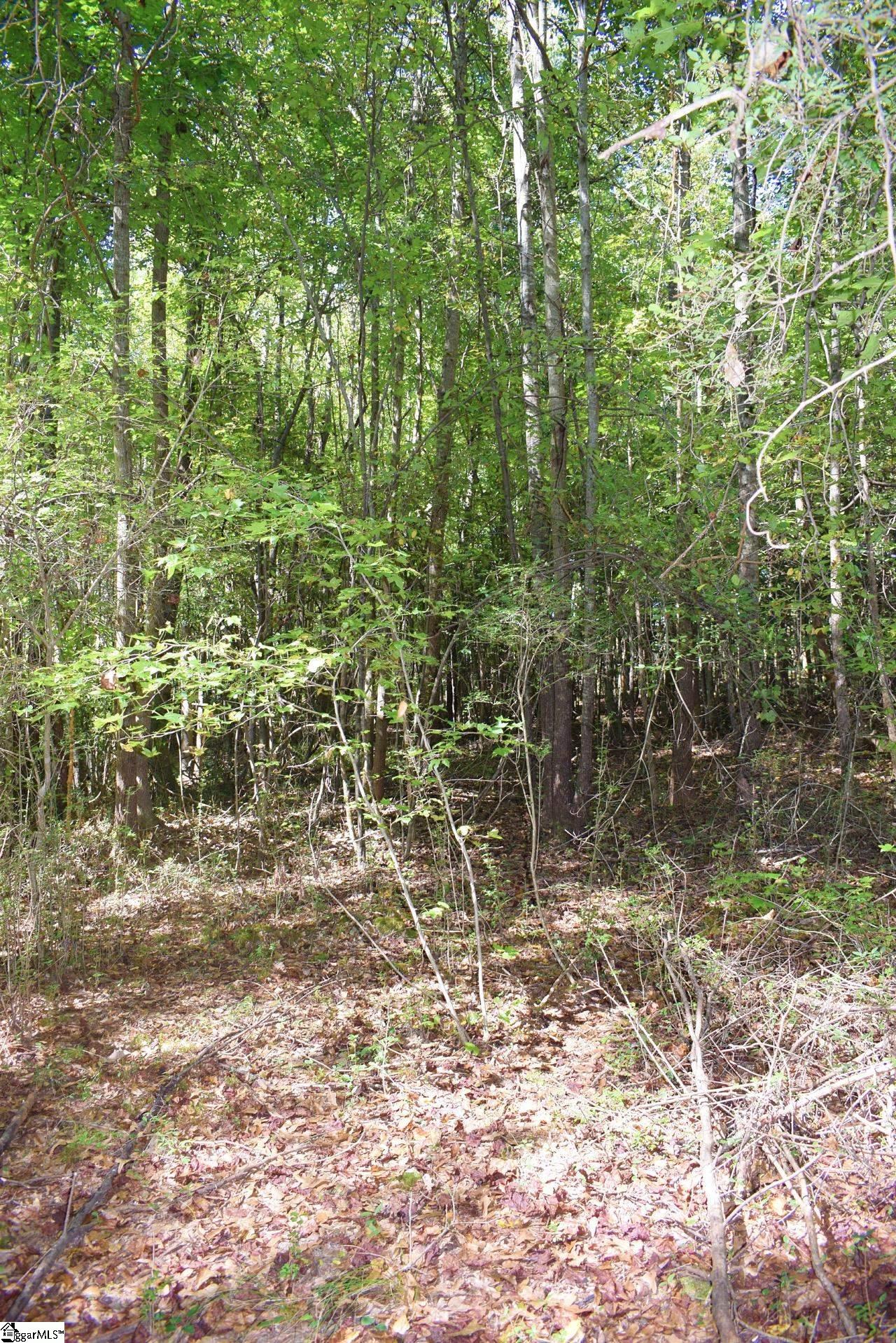 123 State Rd S-42-579 Woodruff, SC 29388 - Photo 22 of 24 Gallery Image 22