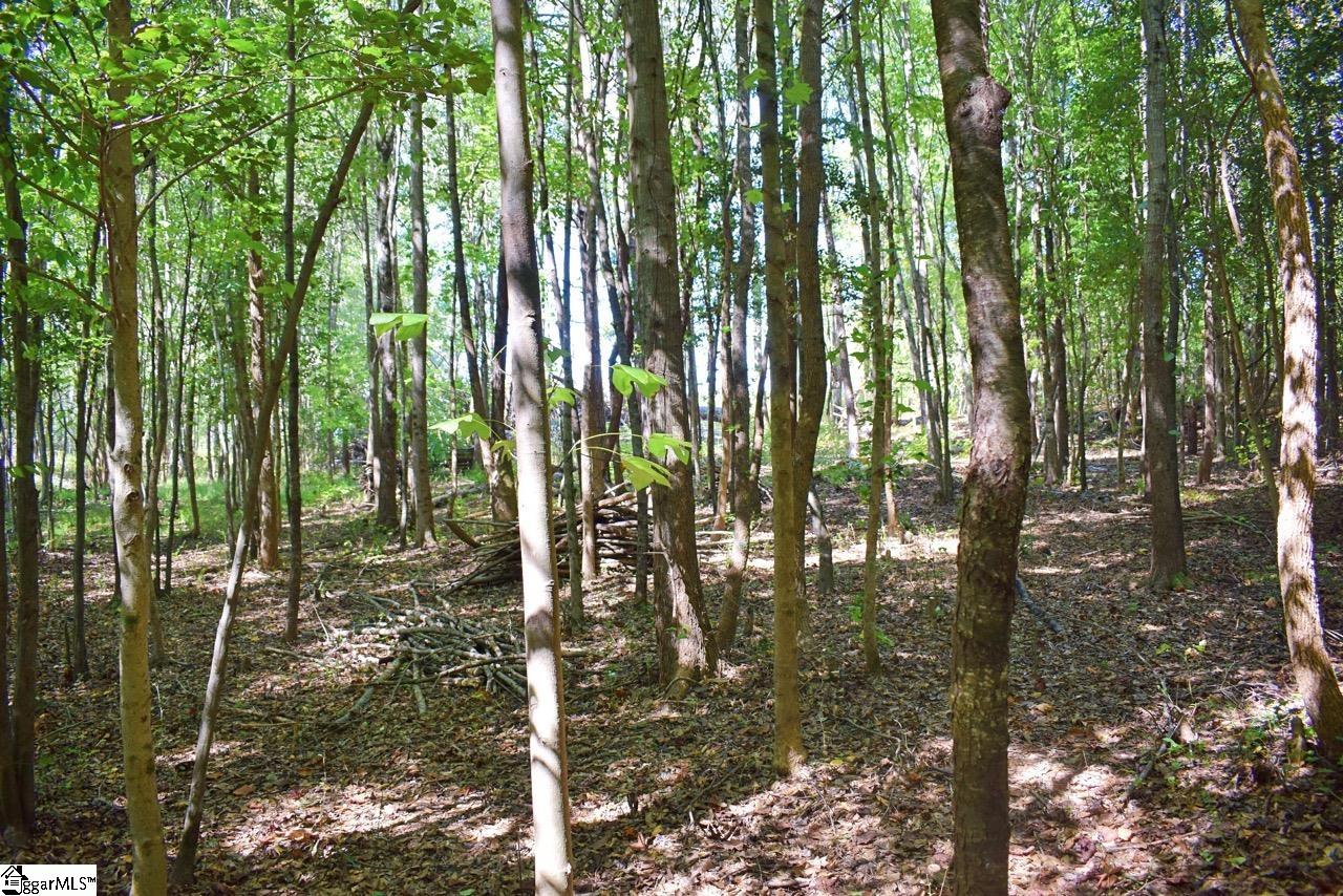 123 State Rd S-42-579 Woodruff, SC 29388 - Photo 23 of 24 Gallery Image 23
