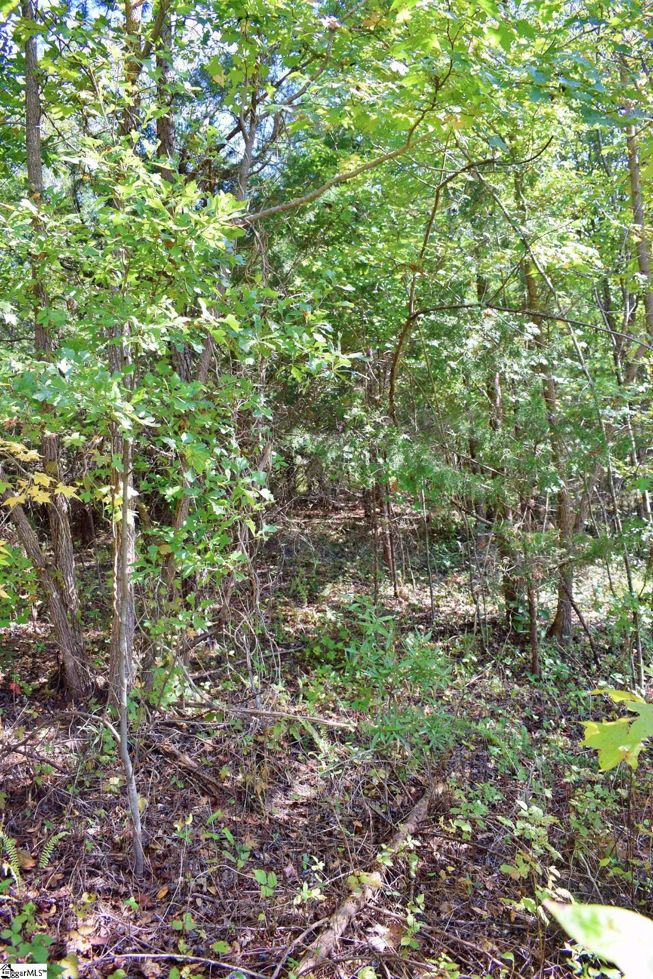 123 State Rd S-42-579 Woodruff, SC 29388 - Photo 4 of 24 Gallery Image 4