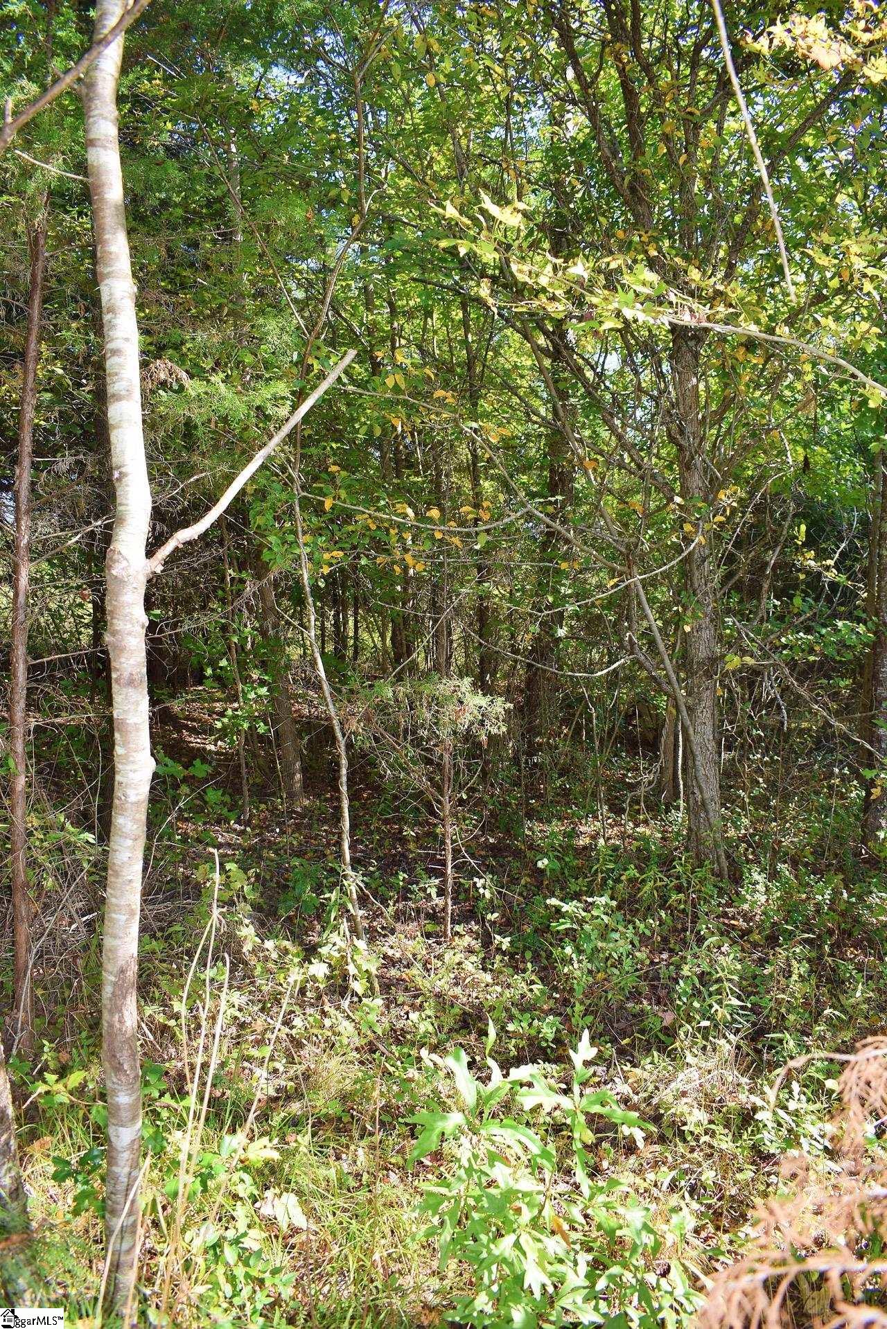 123 State Rd S-42-579 Woodruff, SC 29388 - Photo 5 of 24 Gallery Image 5