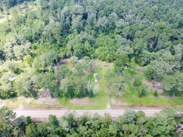 $50,000 | 1036 Holden La, Holden, LA 70744