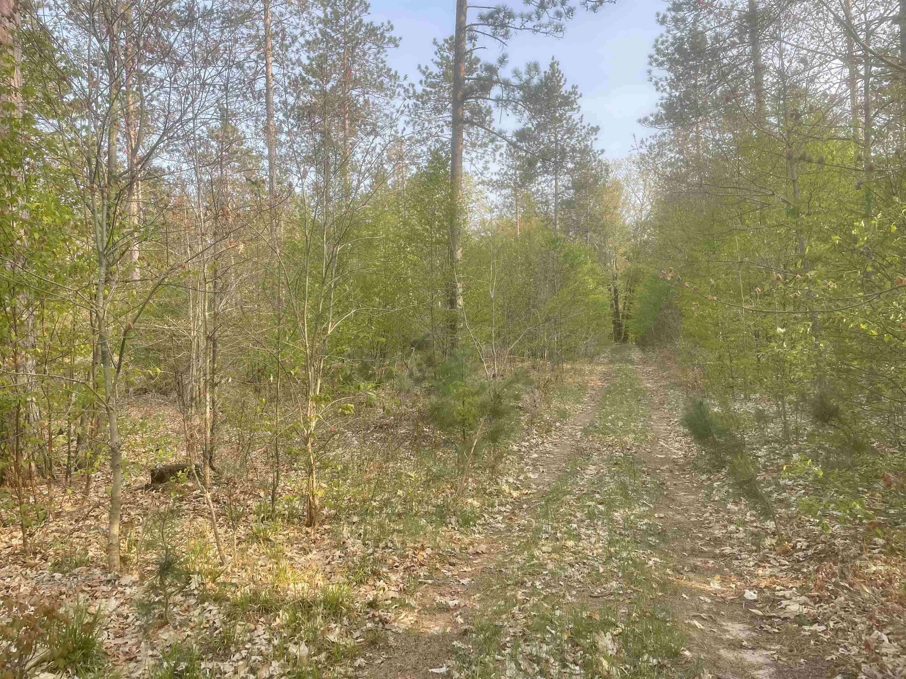 Lot H Lot H Riley, Unit LOT: H Interlochen, MI 49643 - Photo 3 of 6