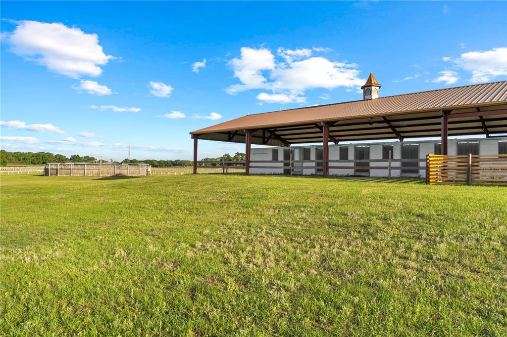 1345 Northeast 155th Place Citra, FL 32113 - Photo 42 of 42 a view of a house with a yard