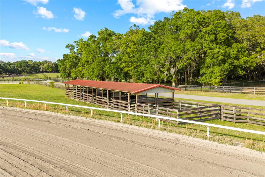 1345 Northeast 155th Place Citra, FL 32113 - Photo 5 of 42 a view of a house with a swimming pool