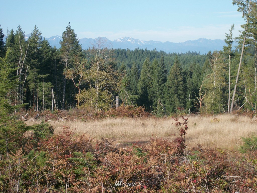 3050 Mason Benson Road East Grapeview, WA 98546 - Photo 1 of 1 Gallery Image 1
