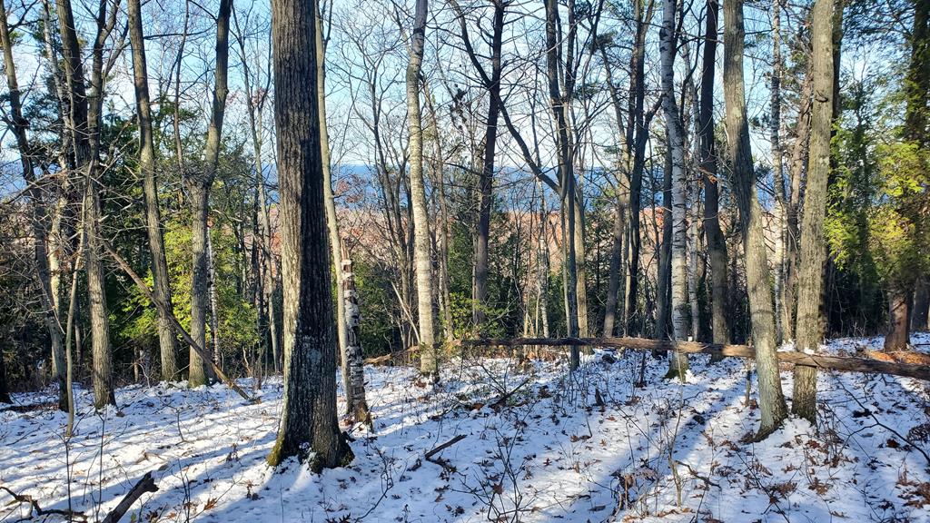 Lot 3 High Bluff Estates Road Sturgeon Bay, WI 54235 - Photo 1 of 6