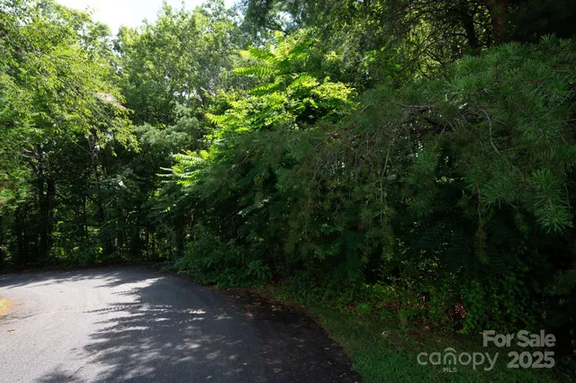 $32,500 | Lot 20 Line Drive, Forest City, NC 28043