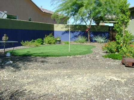 111 East Summerside Road Phoenix, AZ 85042 - Photo 12 of 15 yard
