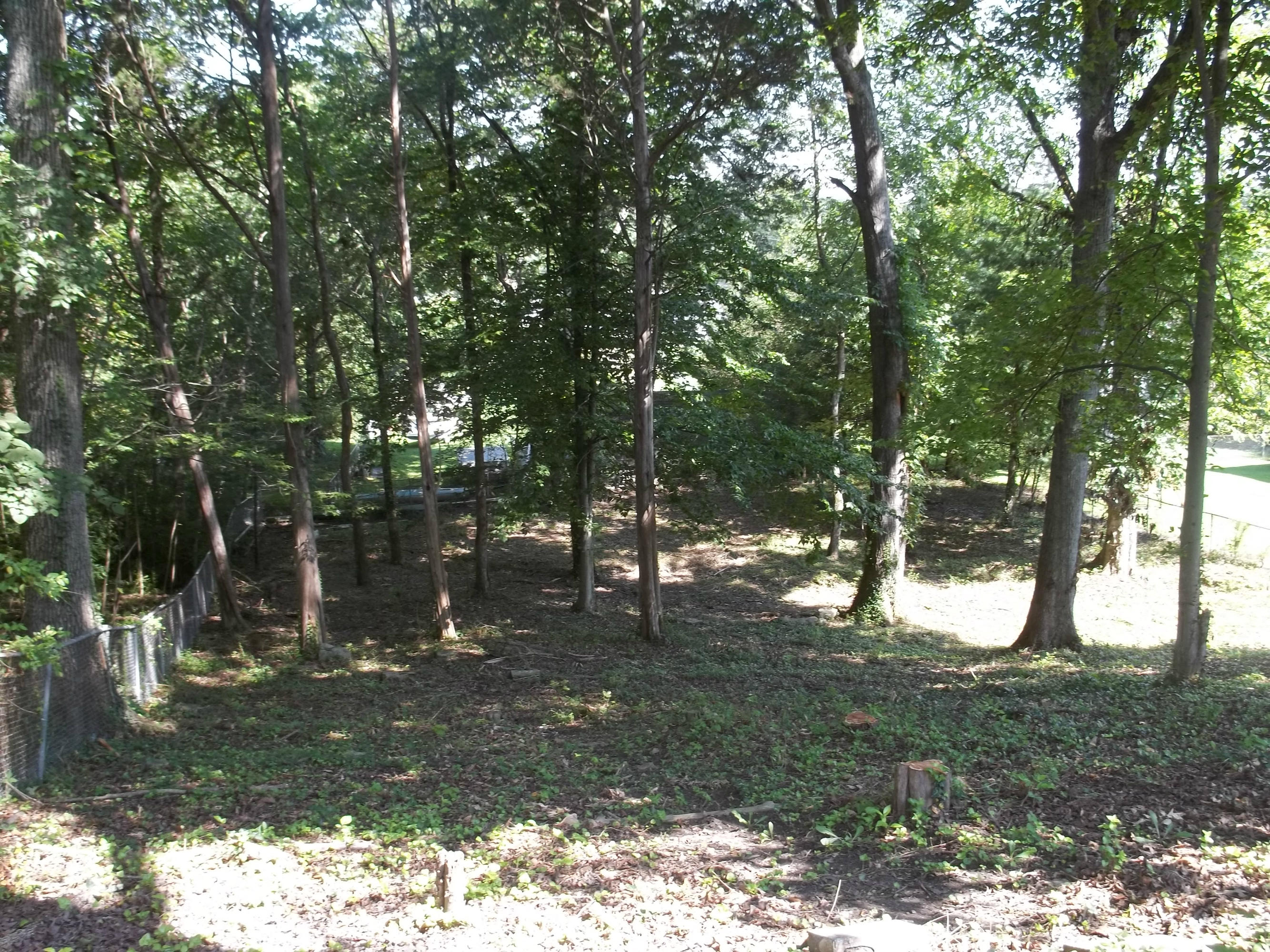 102 West Arrowwood Road Oak Ridge, TN 37830 - Photo 2 of 35 Large Back Yard