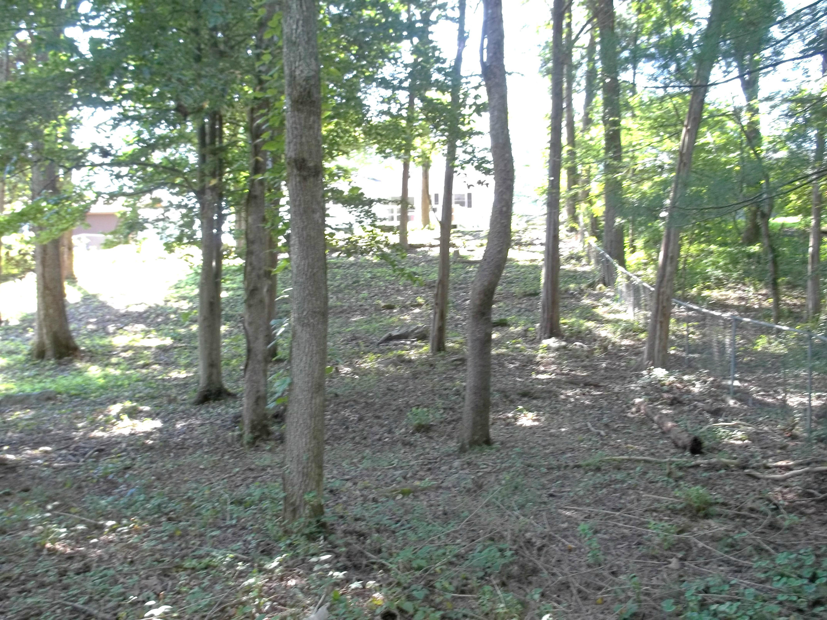 102 West Arrowwood Road Oak Ridge, TN 37830 - Photo 5 of 35 View from end of back yard to house