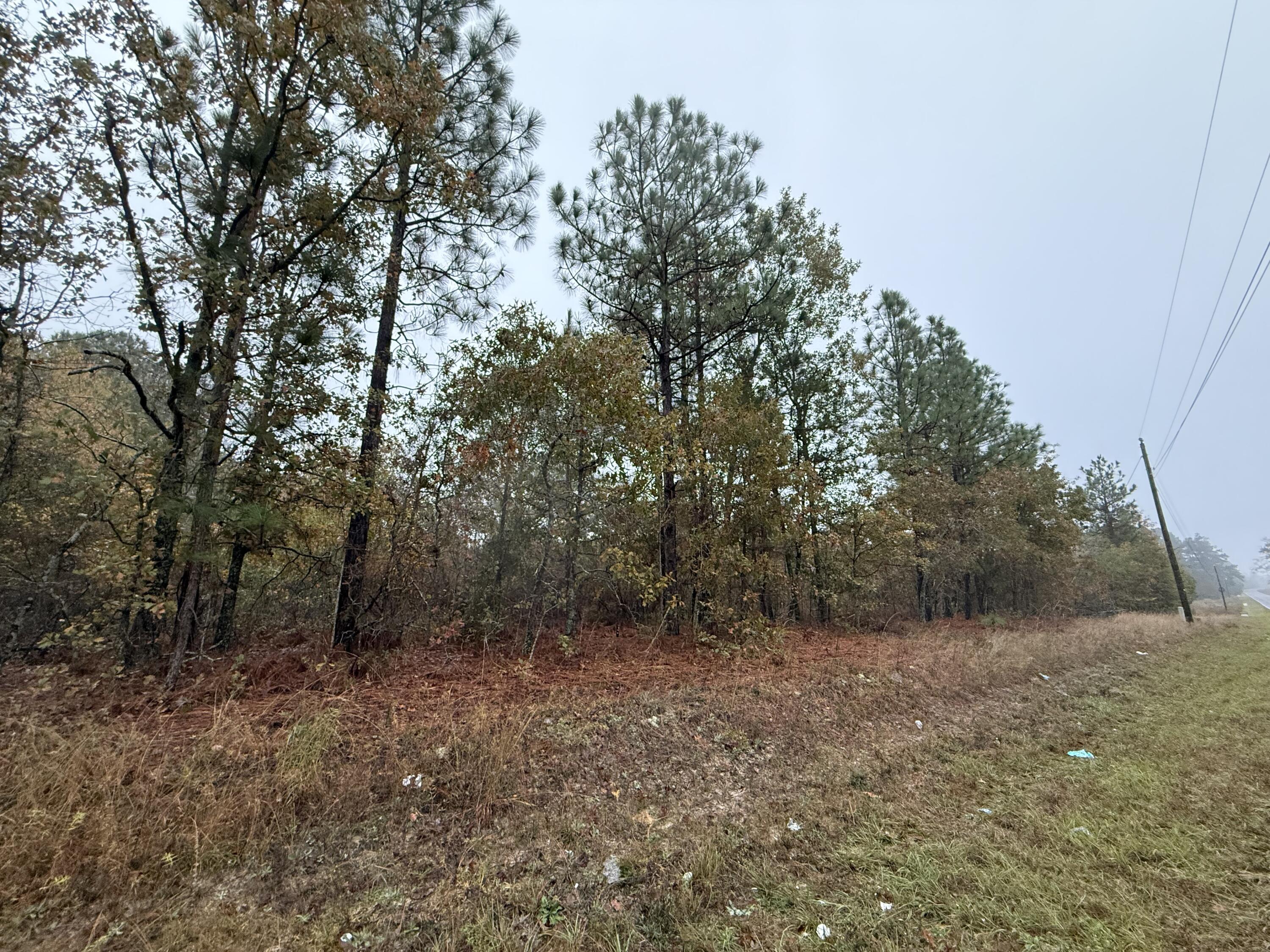 Lot 7 Acre State Park Road Windsor, SC 29856 - Photo 4 of 4