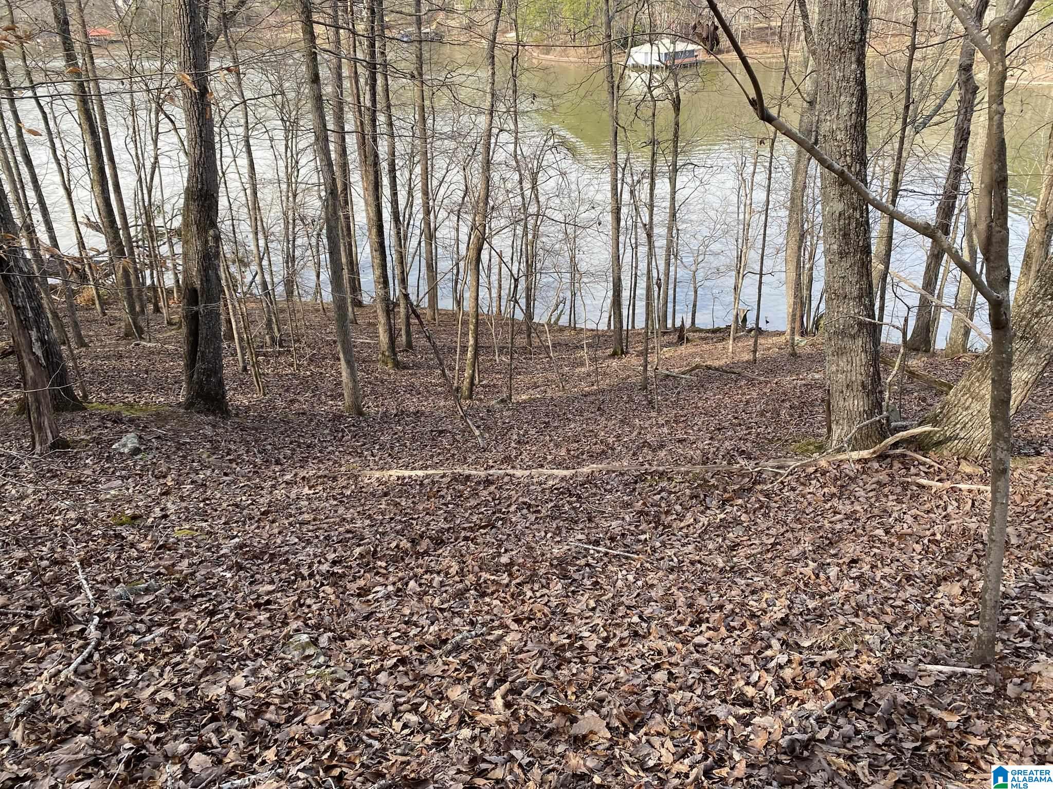 Mohawk Cliff Road, Unit 5 Ohatchee, AL 36271 - Photo 4 of 14