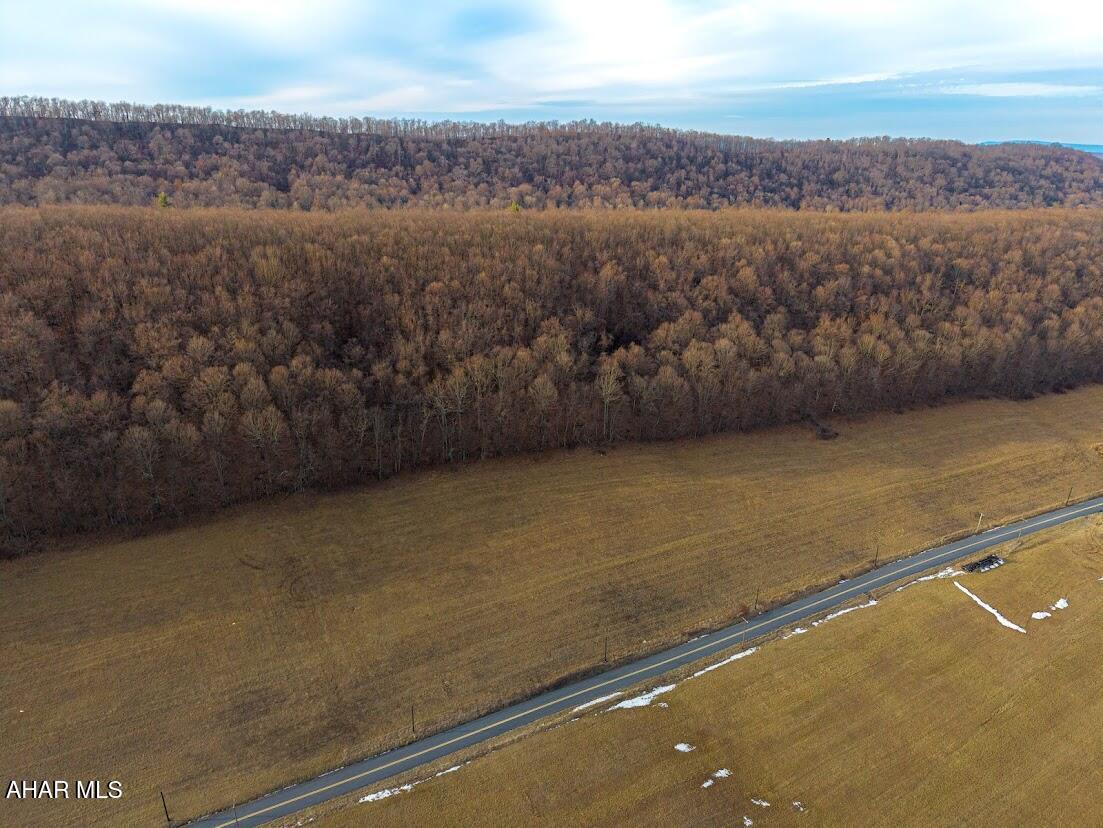 19.95-acre Milligans Cove Road Manns Choice, PA 15550 - Photo 9 of 15 Gallery Image 9