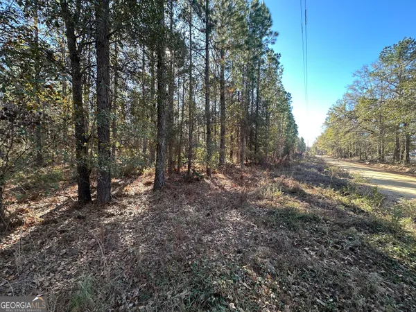 a view of a forest with trees in the background