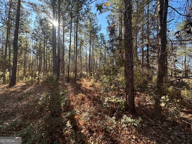 a view of outdoor space with lots of trees