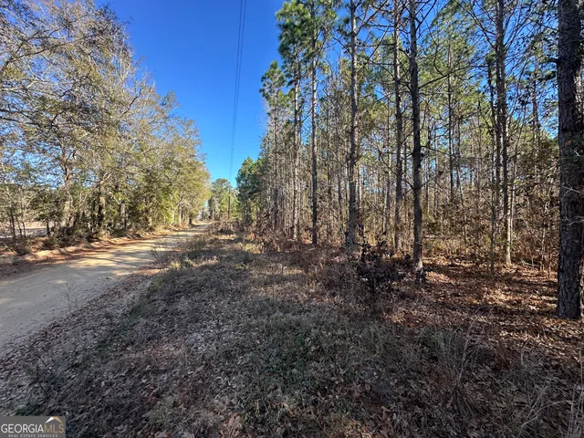 a view of yard with trees