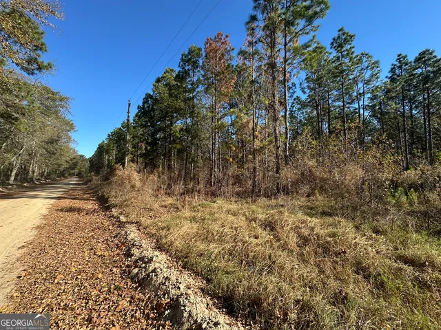 a view of a yard with plants and trees