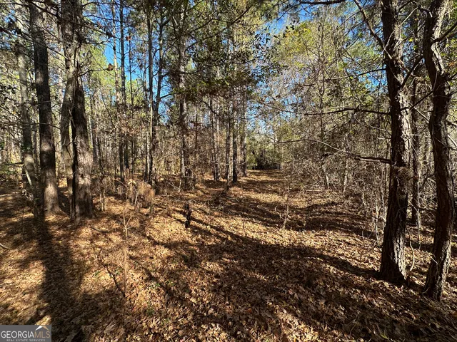 a view of outdoor space and a yard