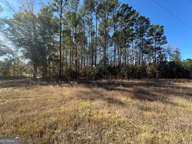 a view of backyard with green space