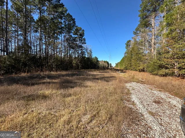 a view of backyard with green space