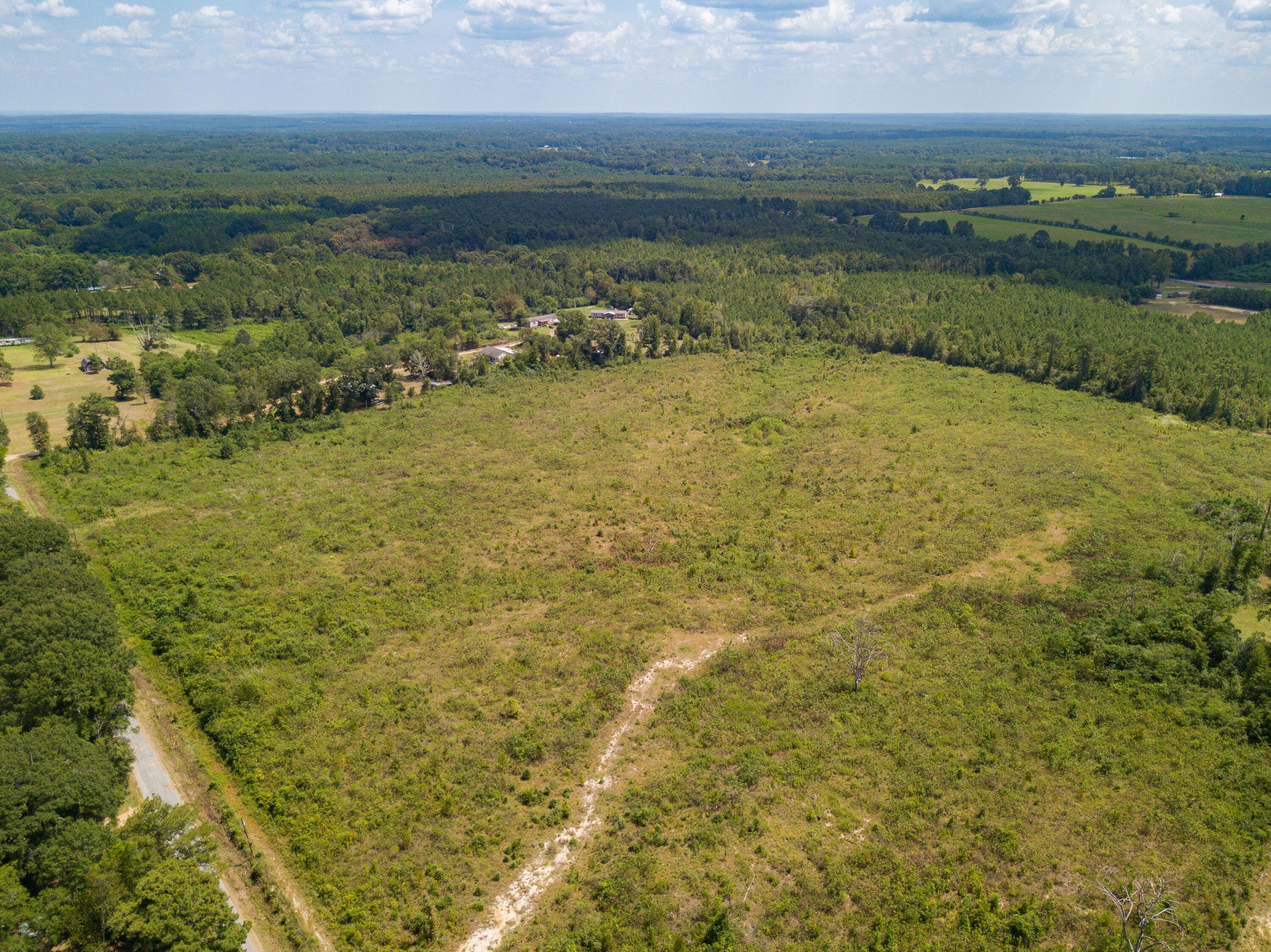 0 Henry Smith Road Tylertown, MS 39667 - Photo 4 of 32 Gallery Image 4