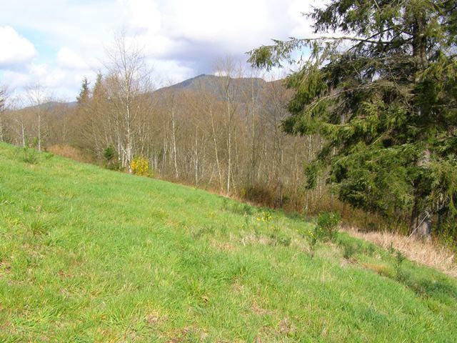 23 Skyview Road Tillamook, OR 97141 - Photo 17 of 41 P3180295
