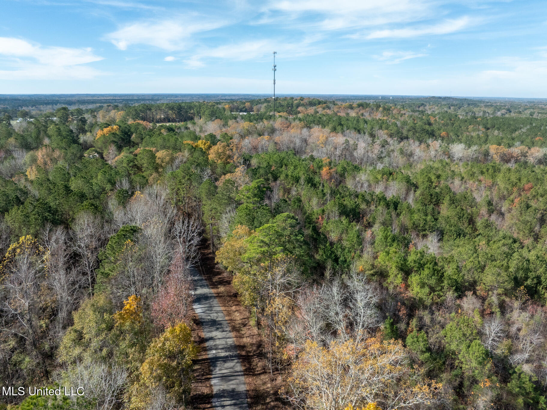 0 Levi Cooper Road Braxton, MS 39044 - Photo 10 of 14 DJI_0274 Isaac Stock