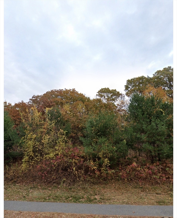 a view of a mountain