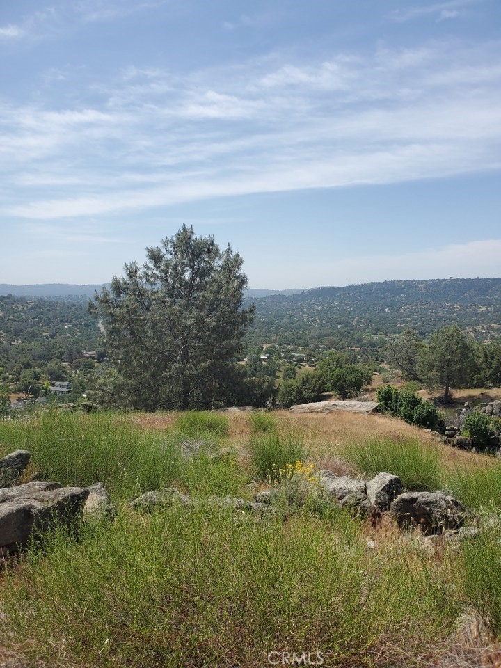 1952 Ranger Circle Drive Coarsegold, CA 93614 - Photo 14 of 17