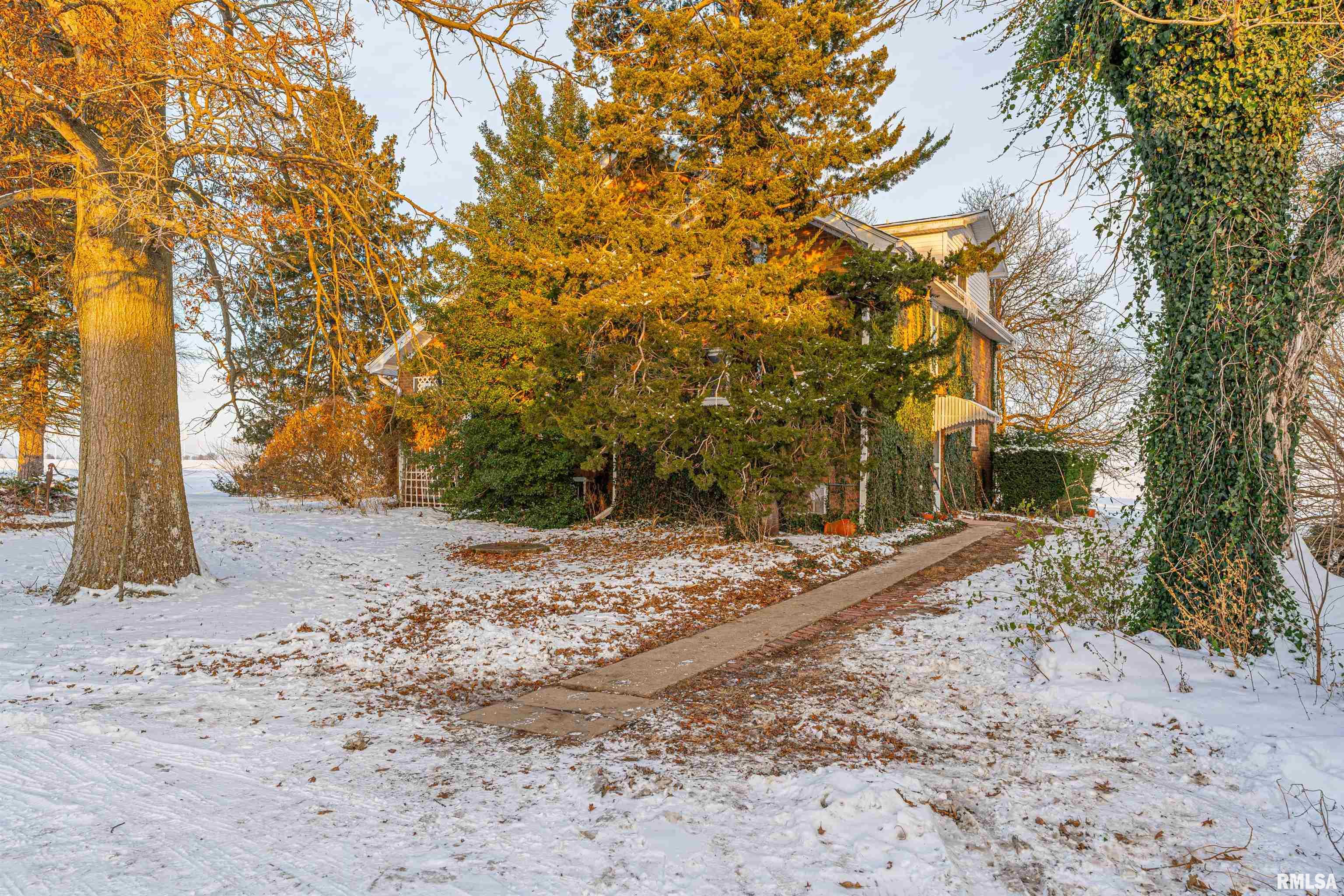 2125 700th Street Mount Pulaski, IL 62548 - Photo 41 of 48