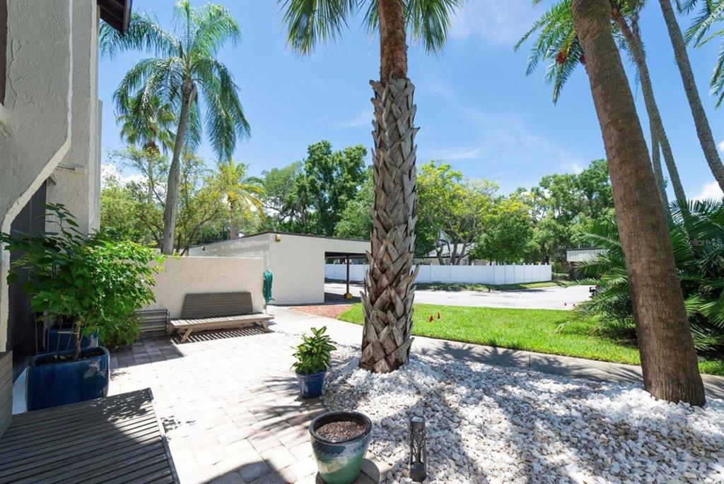 2209 Belleair Road, Unit C3 Clearwater, FL 33764 - Photo 23 of 26 Gallery Image 23