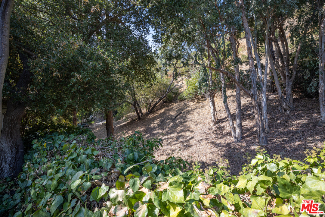 3469 Mandeville Canyon Road Los Angeles, CA 90049 - Photo 4 of 10 a backyard of a house with lots of green space