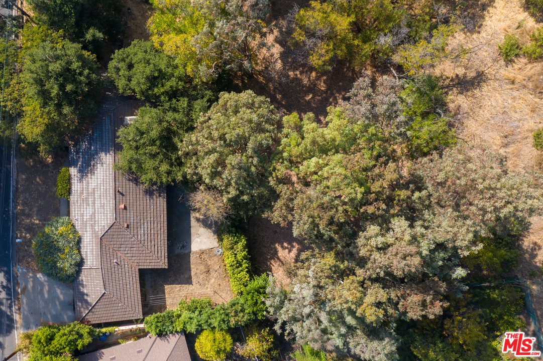 3469 Mandeville Canyon Road Los Angeles, CA 90049 - Photo 6 of 10 a picture of trees