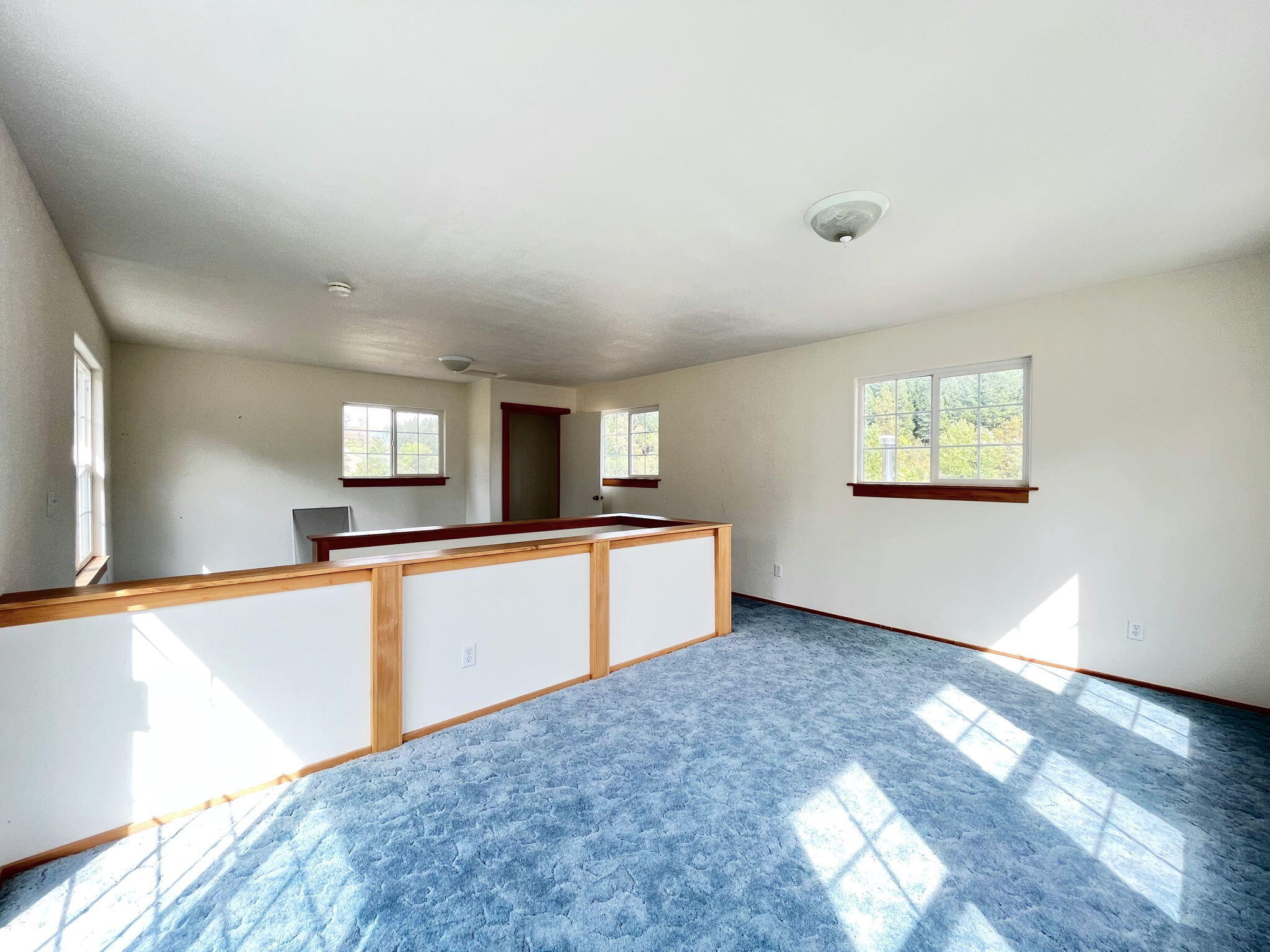 444 Newsome Road Bridgeville, CA 95526 - Photo 22 of 48