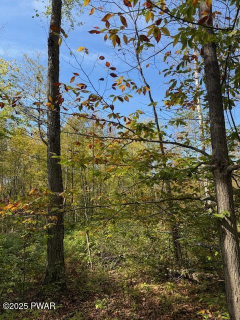 Fairmont Road Road Starrucca, PA 18462 - Photo 6 of 18
