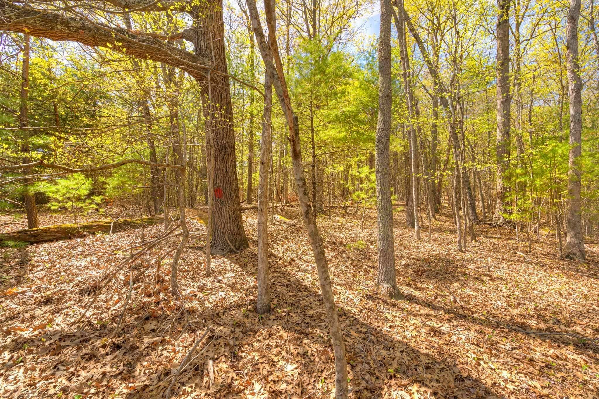 3300 Old Farm Road Blacksburg, VA 24060 - Photo 19 of 48 Gallery Image 19