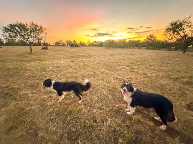 a view of a lake view