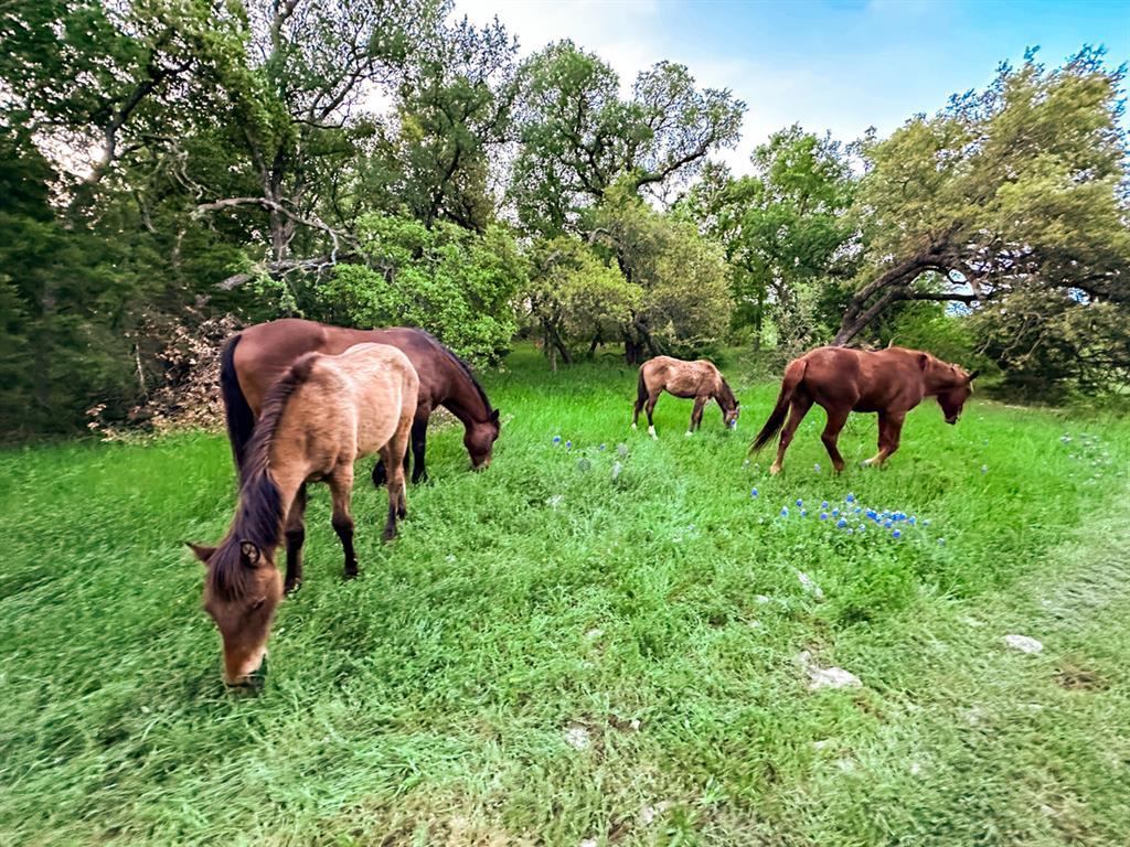 6327 Solana Ranch Road Salado, TX 76571 - Photo 14 of 16 a backyard of a house with table and chairs