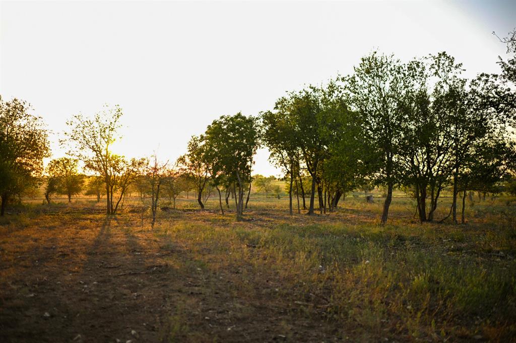 6327 Solana Ranch Road Salado, TX 76571 - Photo 15 of 16