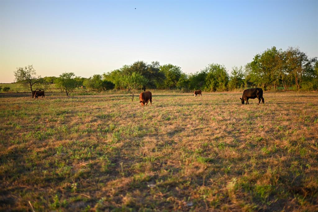 6327 Solana Ranch Road Salado, TX 76571 - Photo 16 of 16 a view of a lake view