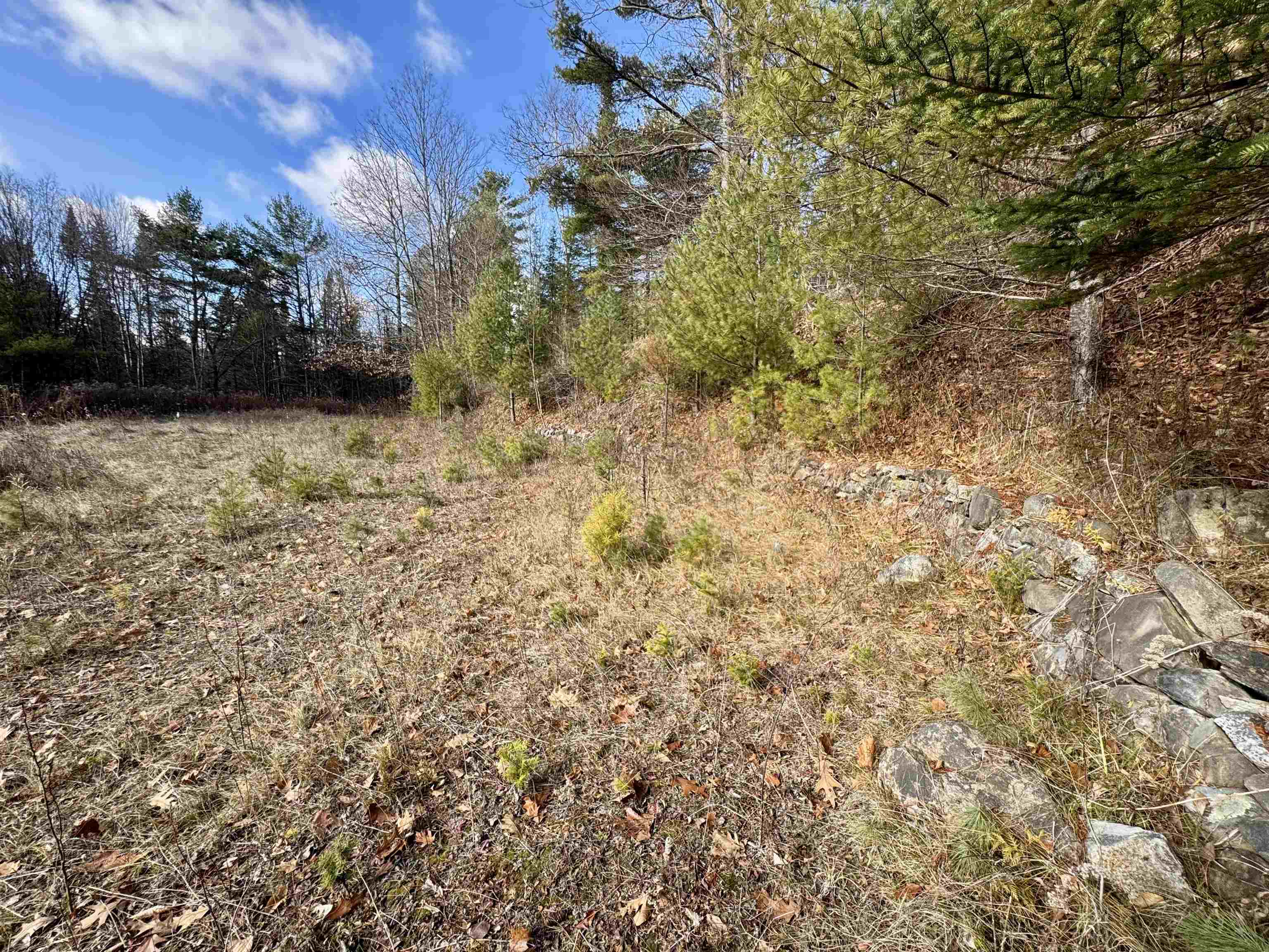 663 Ferguson Road Barnet, VT 05821 - Photo 11 of 18