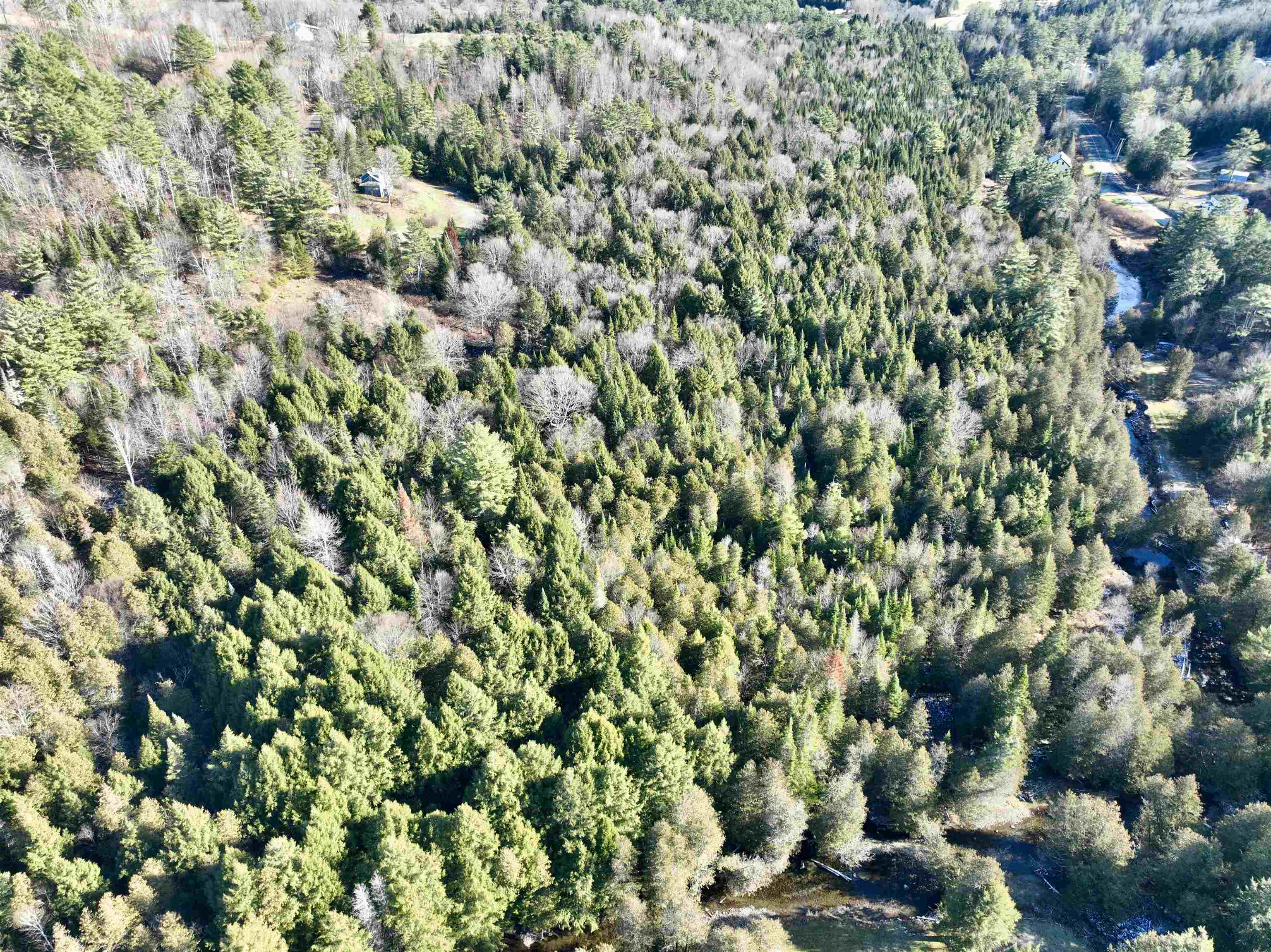 663 Ferguson Road Barnet, VT 05821 - Photo 18 of 18