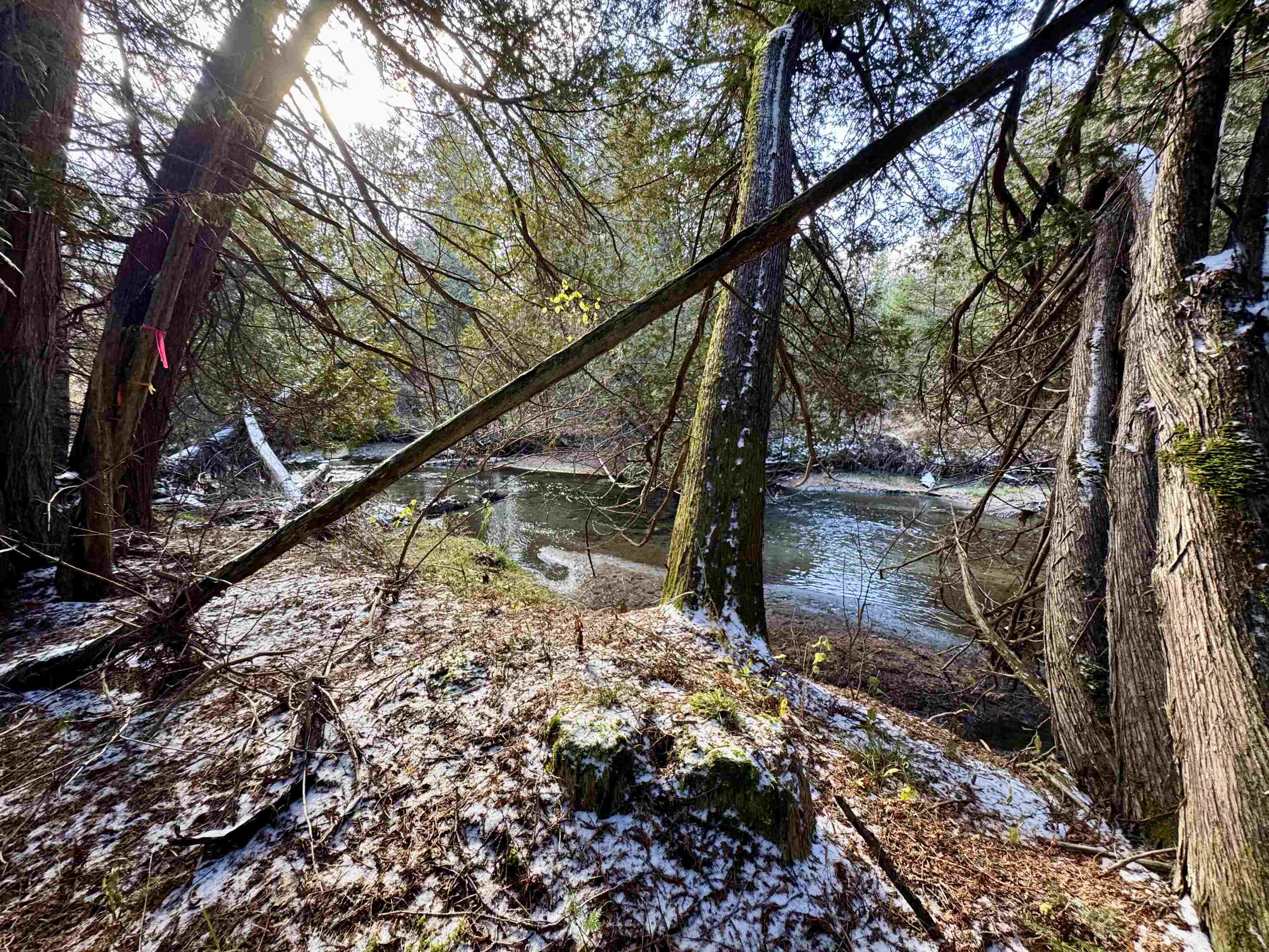 663 Ferguson Road Barnet, VT 05821 - Photo 2 of 18