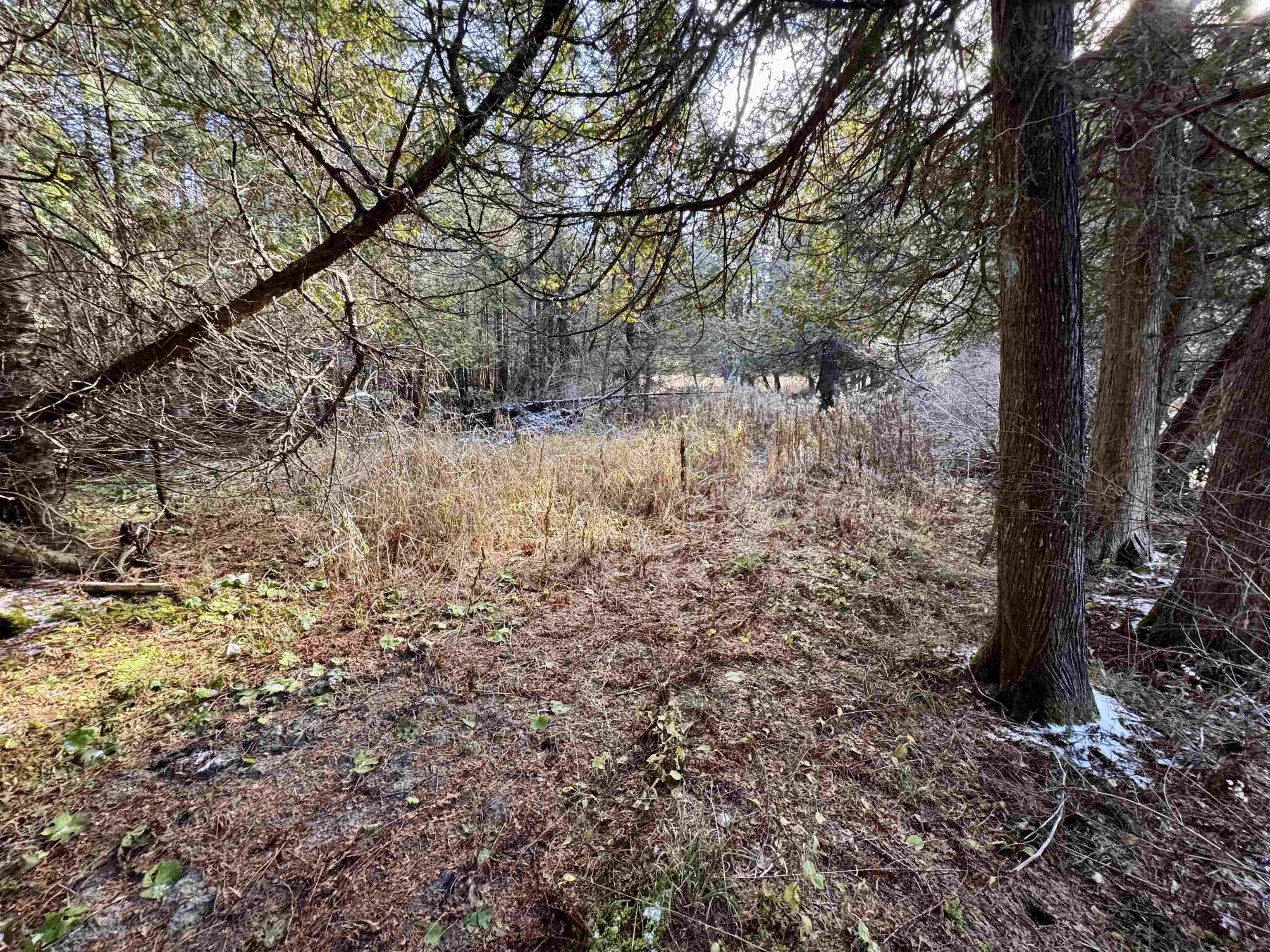 663 Ferguson Road Barnet, VT 05821 - Photo 5 of 18