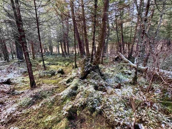 $250,000 | 663 Ferguson Road, Barnet, VT 05821