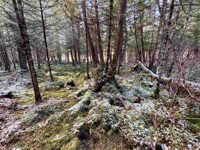 $250,000 | 663 Ferguson Road, Barnet, VT 05821