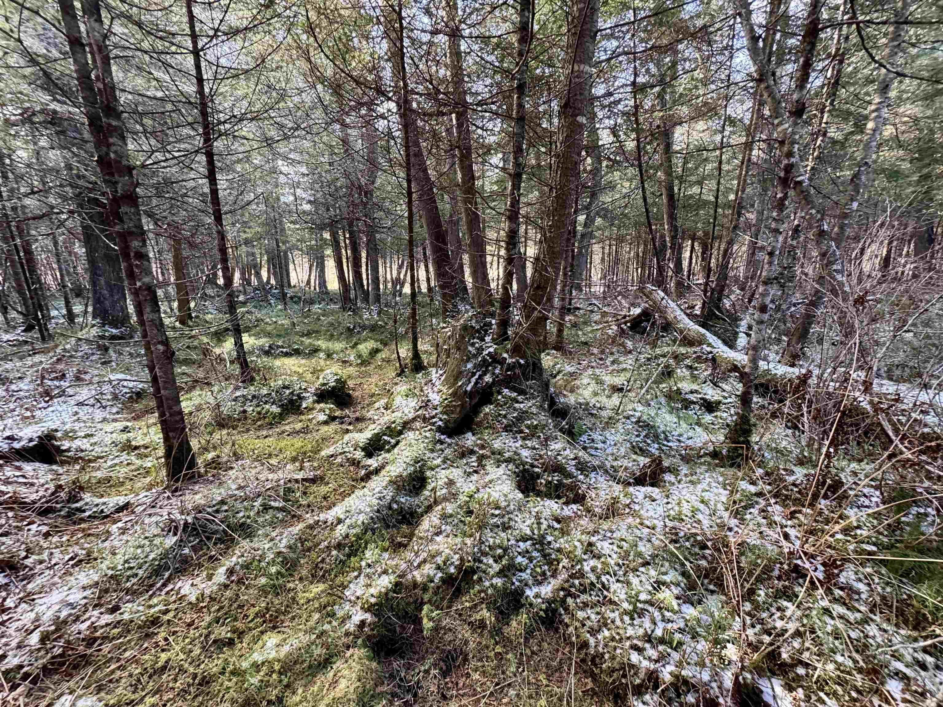 663 Ferguson Road Barnet, VT 05821 - Photo 6 of 18