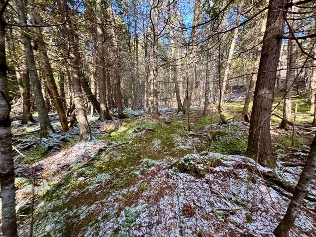 $250,000 | 663 Ferguson Road, Barnet, VT 05821