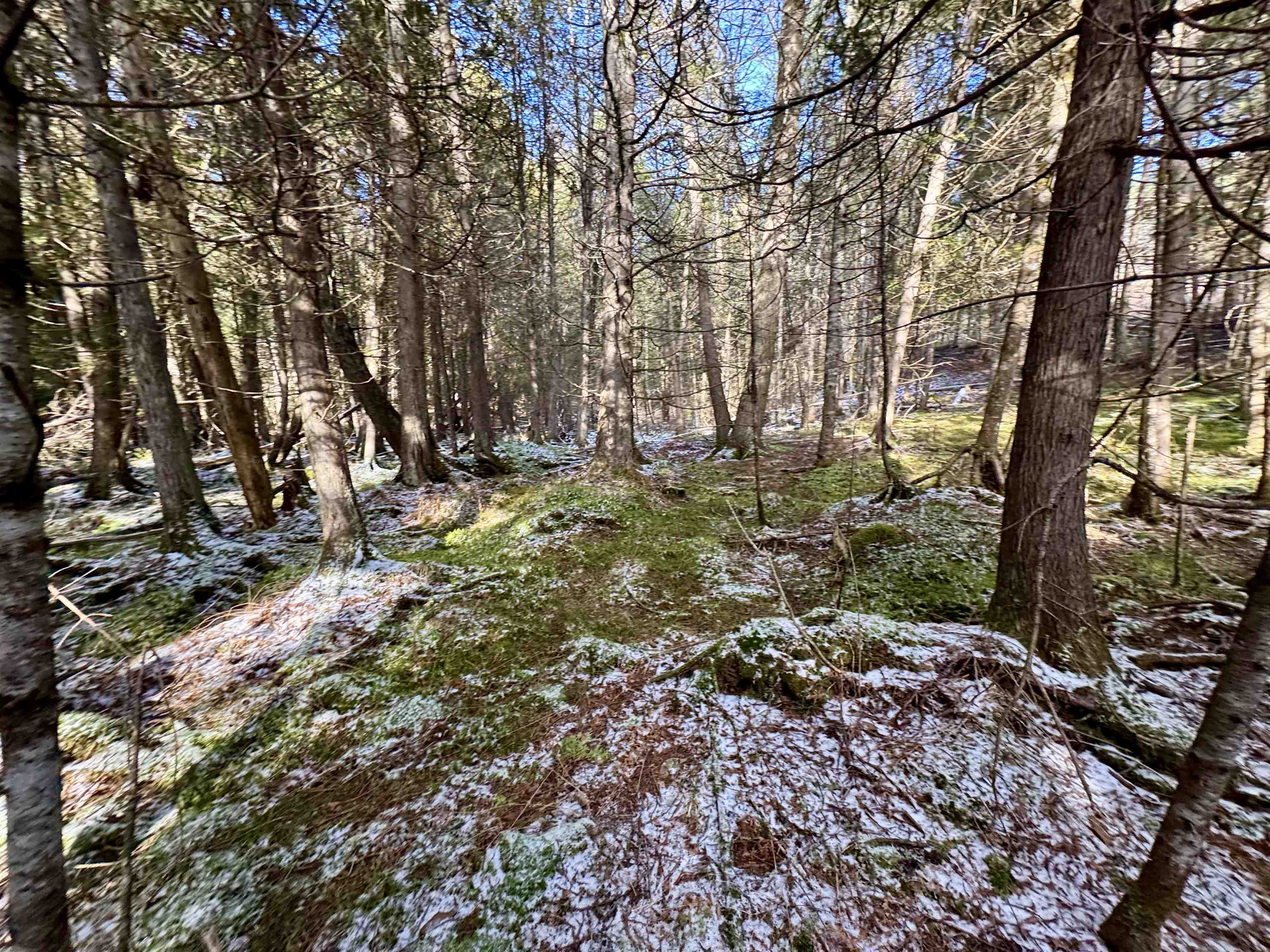 663 Ferguson Road Barnet, VT 05821 - Photo 7 of 18