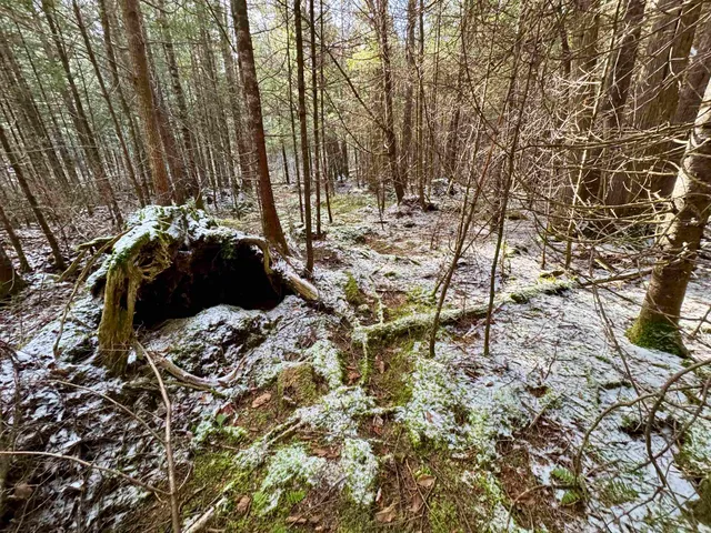 $250,000 | 663 Ferguson Road, Barnet, VT 05821